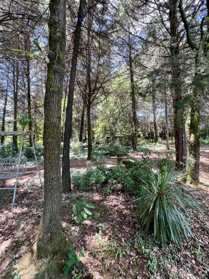 Villas Do Monte Guimaraes Exterior photo